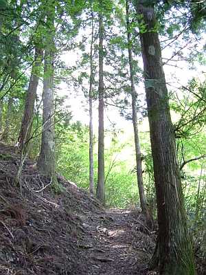 nisi06.jpg