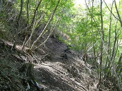 nisi08.jpg