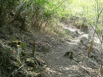 nisi09.jpg