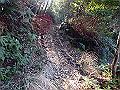 onigaiwa19_thumb.png
