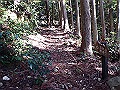 onigaiwa42_thumb.png