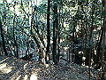 onigaiwa54_thumb.png