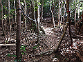 onigaiwa61_thumb.png