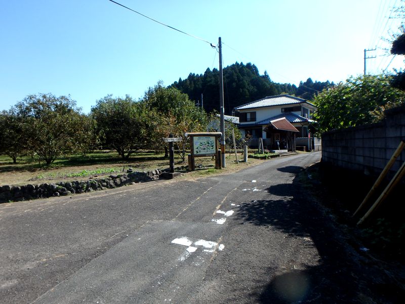 otonbo03.jpg