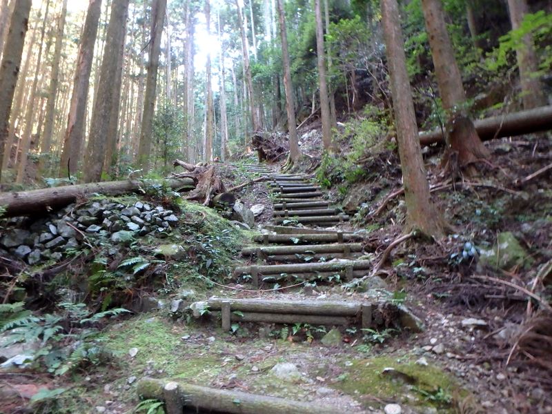 otonbo09.jpg