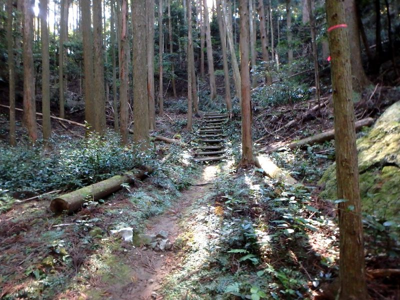 otonbo10.jpg