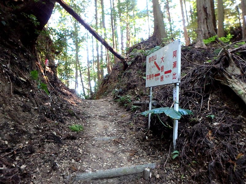 otonbo11.jpg