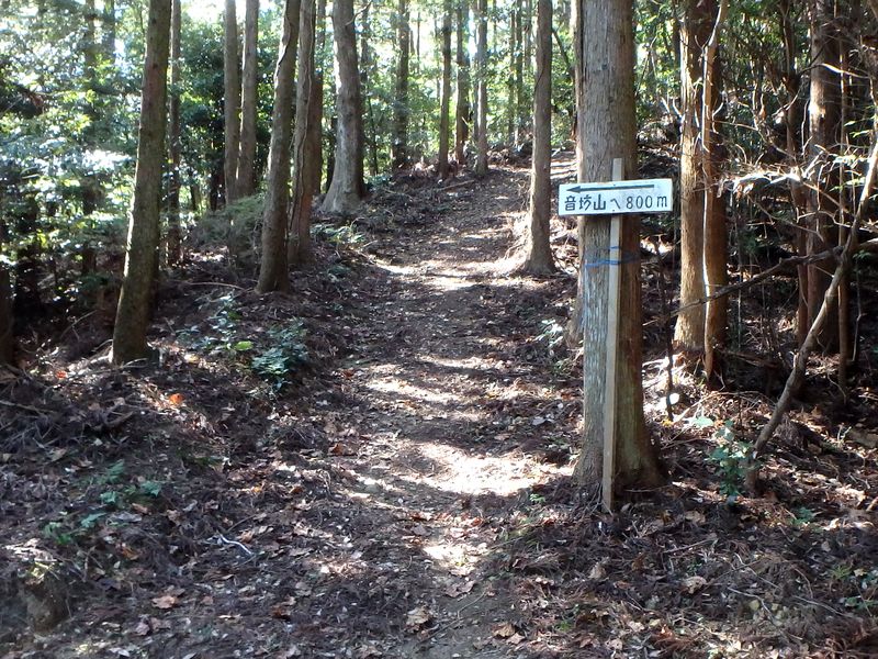 otonbo13.jpg