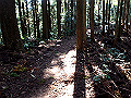 otonbo18_thumb.png