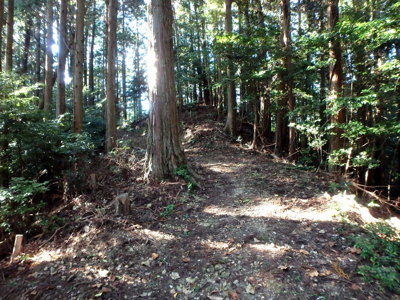 otonbo21.jpg