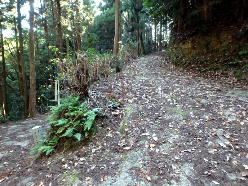 otonbo24.jpg