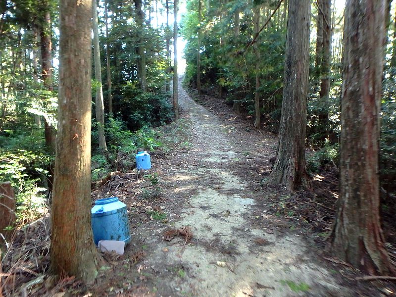 otonbo26.jpg