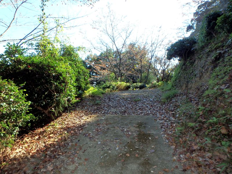 otonbo27.jpg