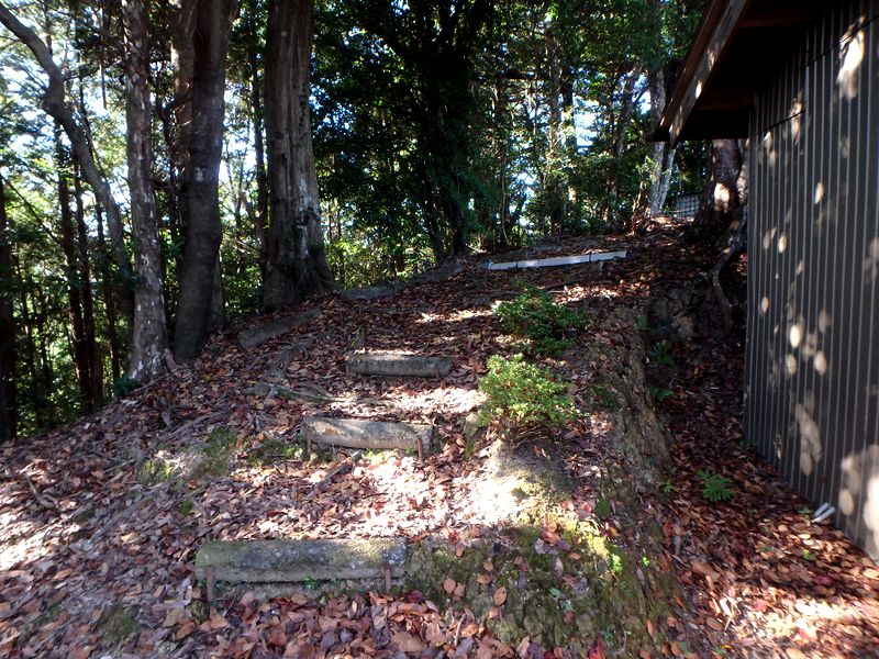 otonbo31.jpg
