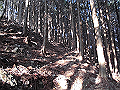 ryuou032_thumb.png