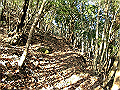 ryuou044_thumb.png