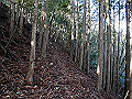 ryuou045_thumb.png