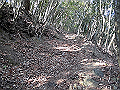 ryuou052_thumb.png
