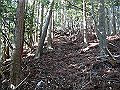 ryuou056_thumb.png