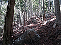 ryuou057_thumb.png