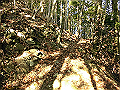 ryuou061_thumb.png
