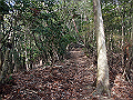 ryuou065_thumb.png