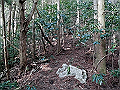 ryuou072_thumb.png