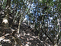 ryuou075_thumb.png