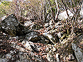 ryuou081_thumb.png