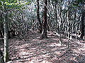 ryuou090_thumb.png