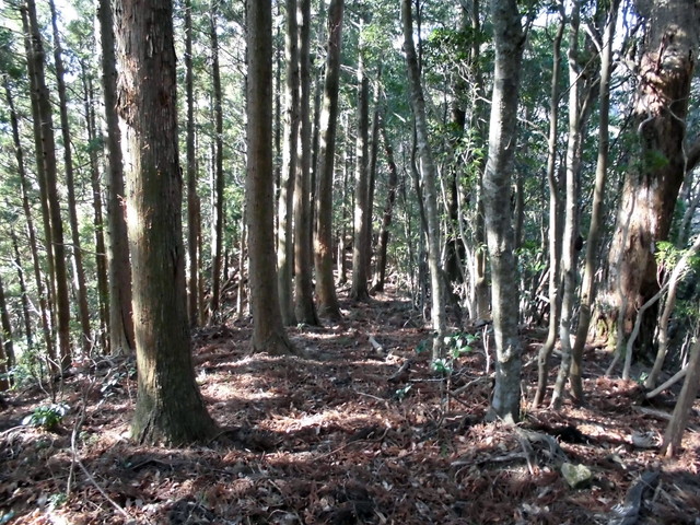 ryuou091.jpg