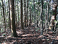 ryuou091_thumb.png
