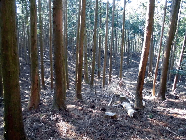 ryuou104.jpg