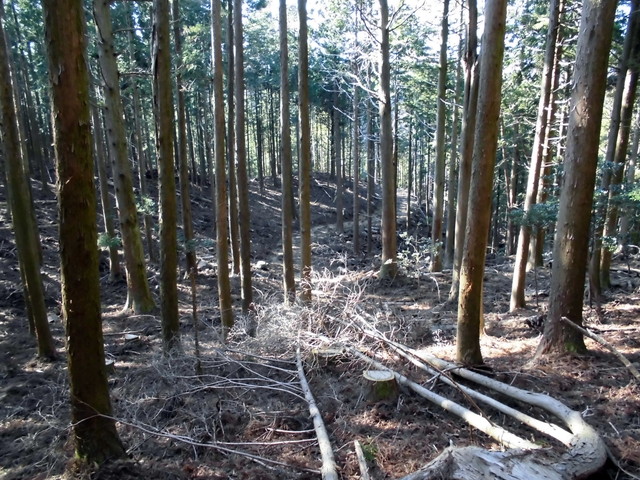 ryuou105.jpg