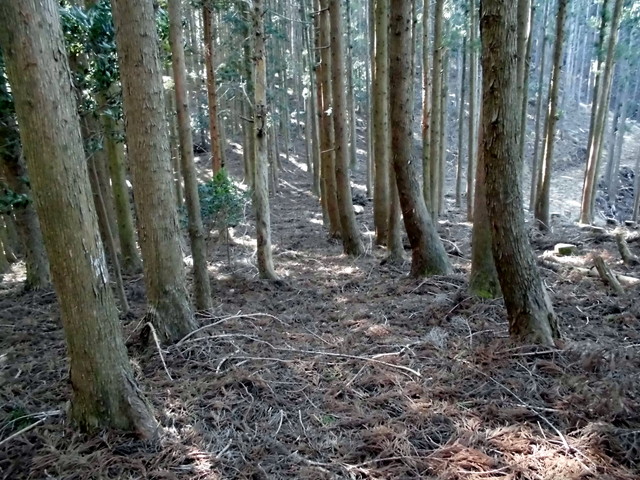 ryuou108.jpg