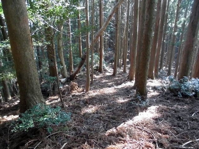 ryuou112.jpg