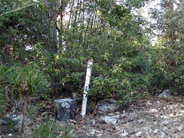 ryuou120.jpg