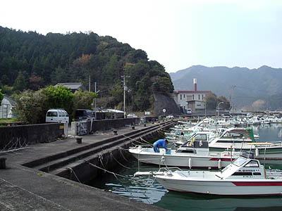 sen05.jpg