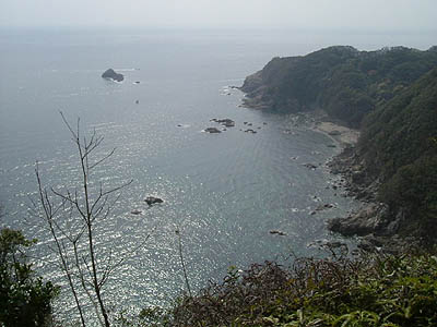 sen08.jpg