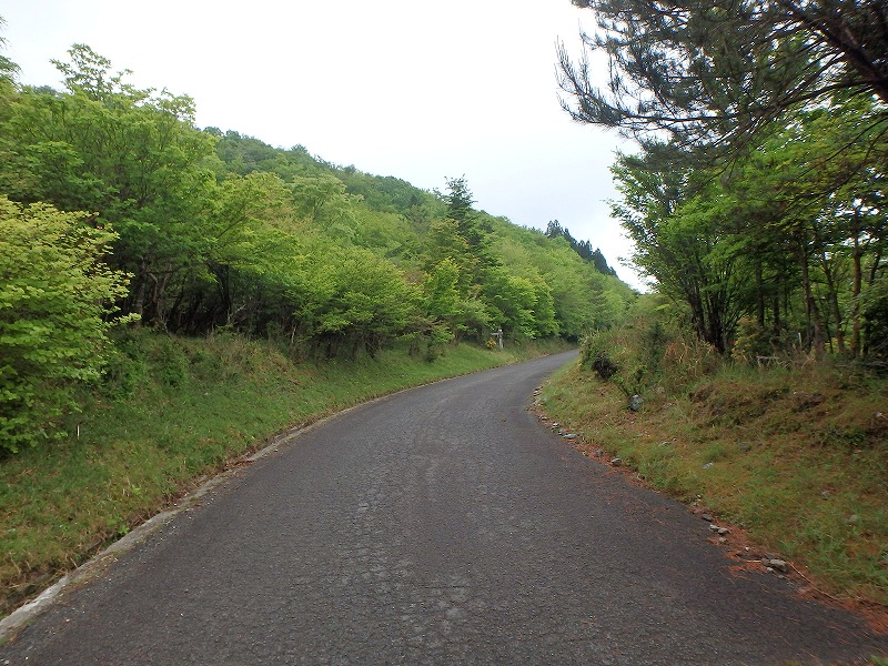 sibakoya04.jpg