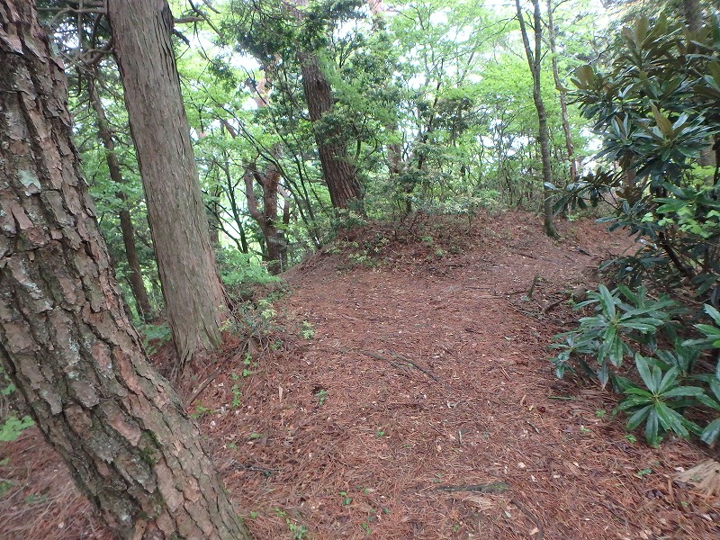 sibakoya09.jpg