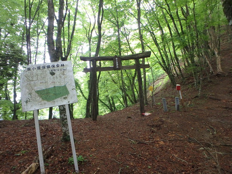 sibakoya14.jpg