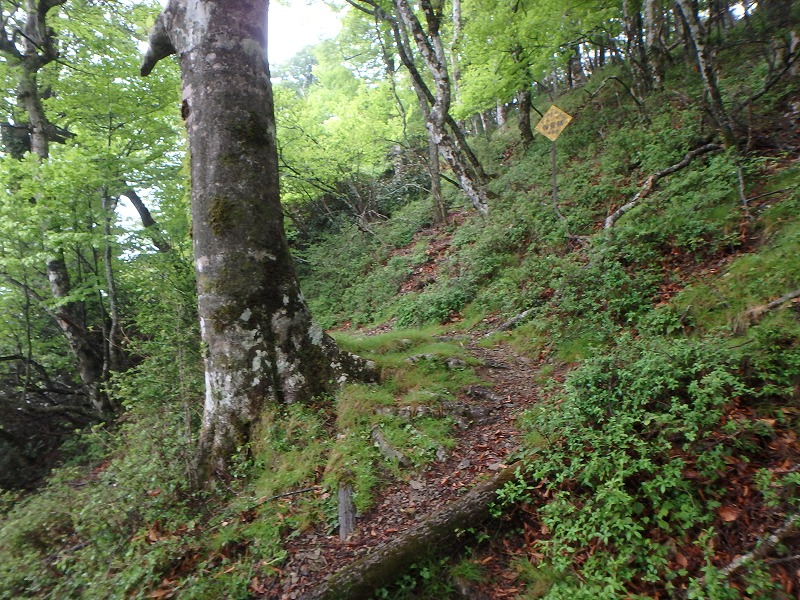 sibakoya19.jpg