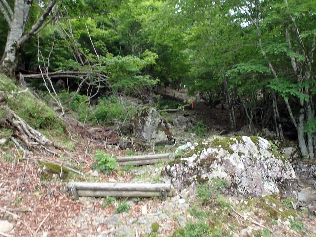 sinku005.jpg