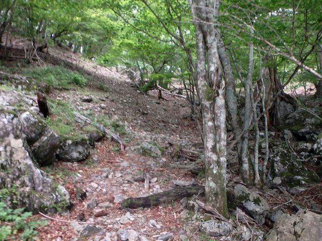 sinku006.jpg