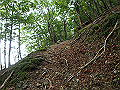 sinku008_thumb.png