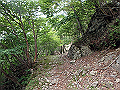 sinku011_thumb.png