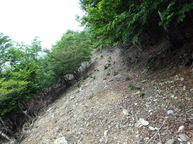 sinku015.jpg