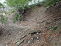 sinku019_thumb.png