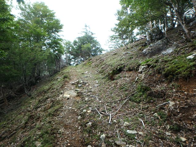 sinku021.jpg